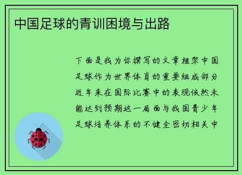 中国足球的青训困境与出路 中国足球的青训困境与出路