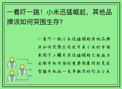 一看吓一跳！小米迅猛崛起，其他品牌该如何突围生存？